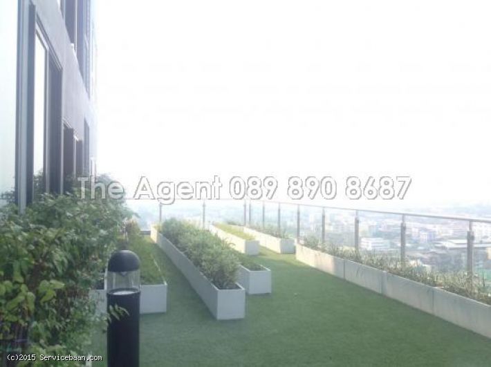 KNIGHTSBRIDGE CONDOMINIUM ย่านสุขุมวิท บางนา KNIGHTSBRIDGE CONDOMINIUM บางนา, กรุงเทพมหานคร Thailand